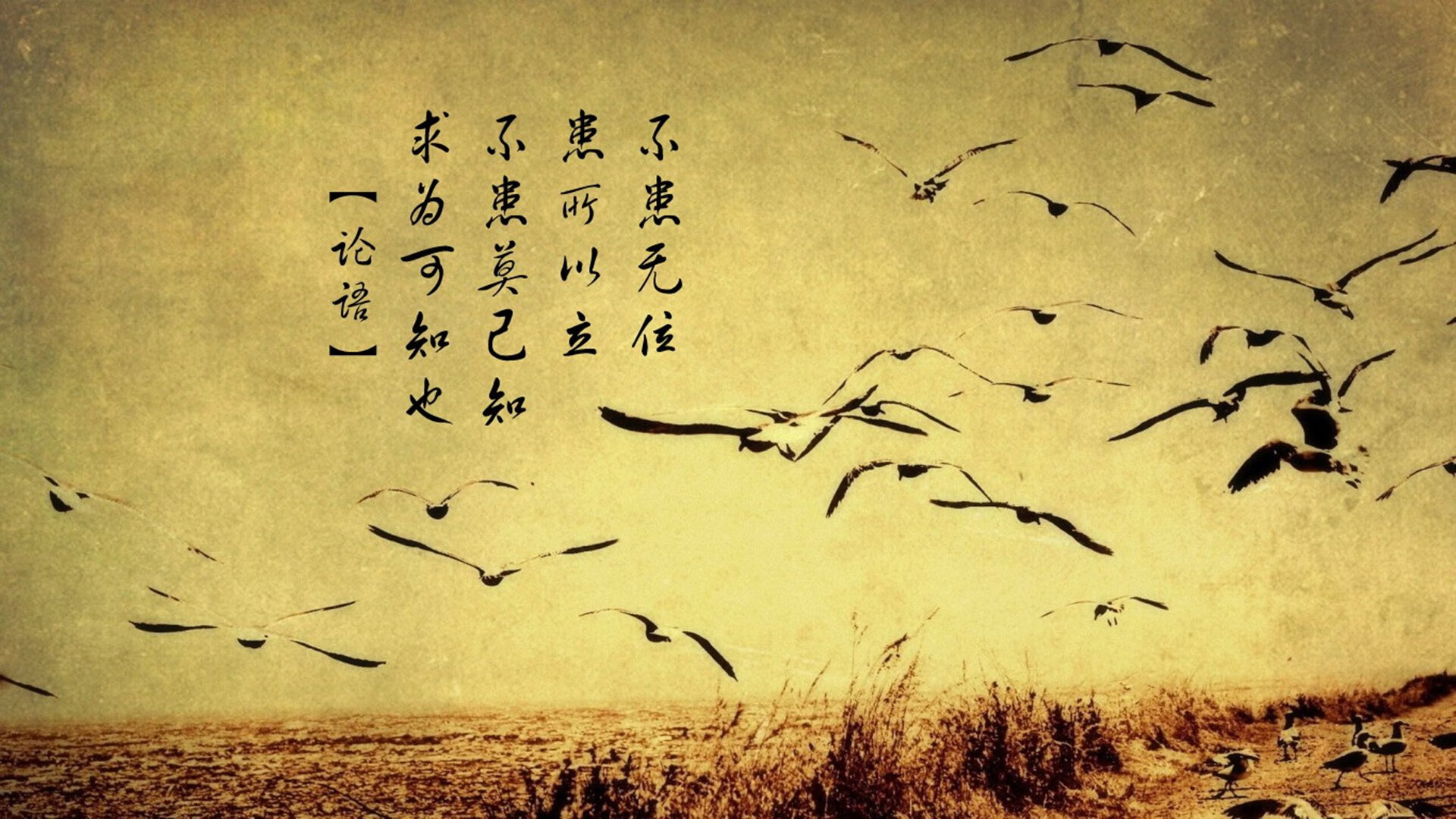 FB体育网页版-Gen.G战队训练营成果显著，gen.g战队lol