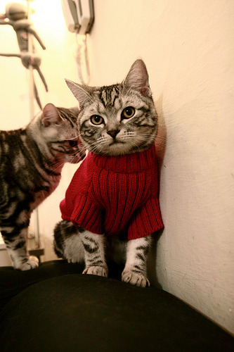 FB体育登录入口-国家队篮球技战术研究中心建设，篮球国家队训练基地