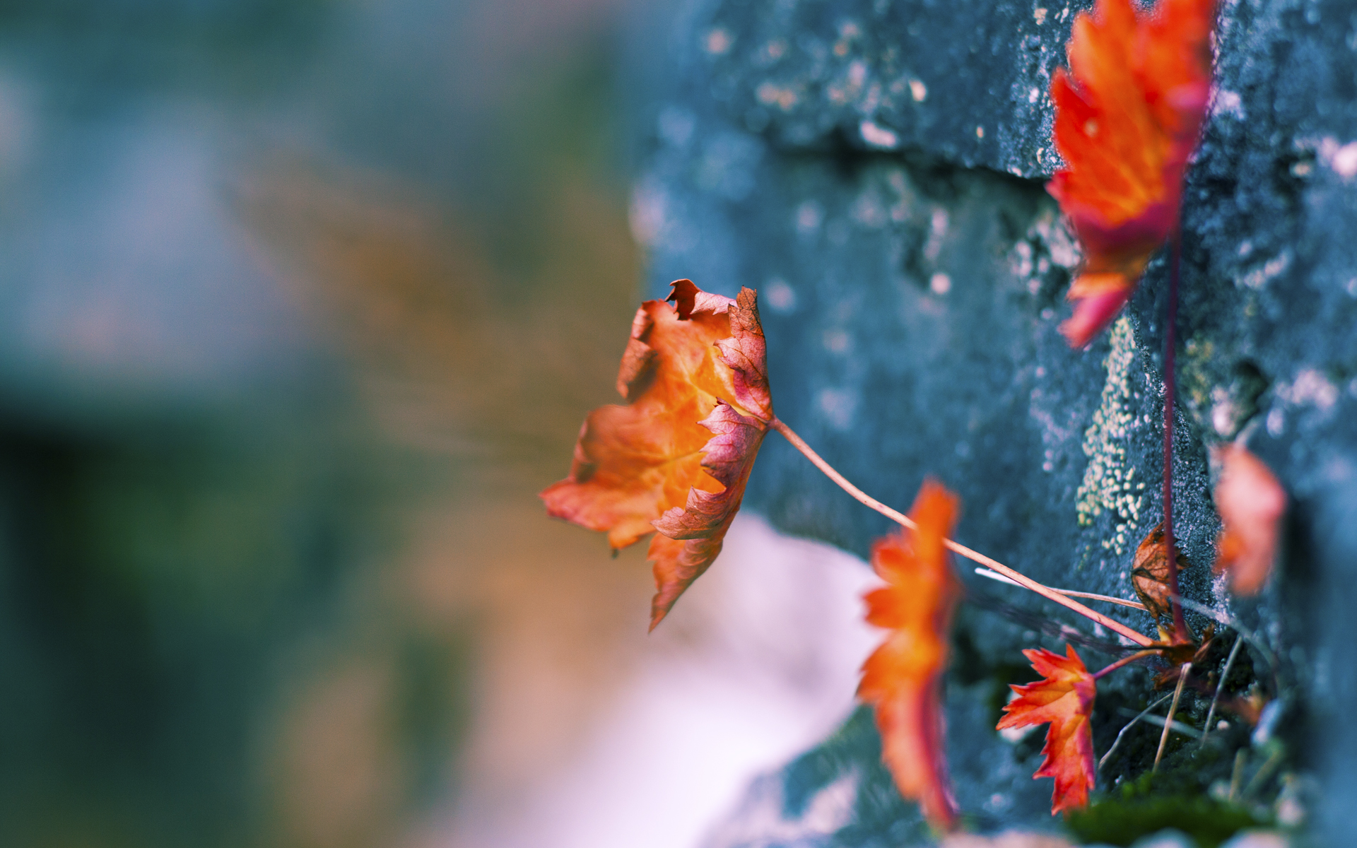 FB体育登录入口-太阳快船角逐，球场上风起云涌引人瞩目，太阳快船队