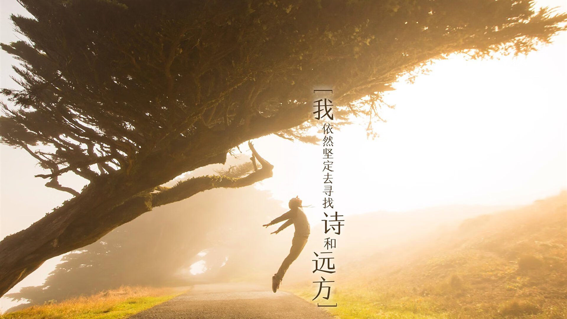 FB体育网页版-山东泰山中场球员发挥关键作用,山东泰山队2021中超赛程