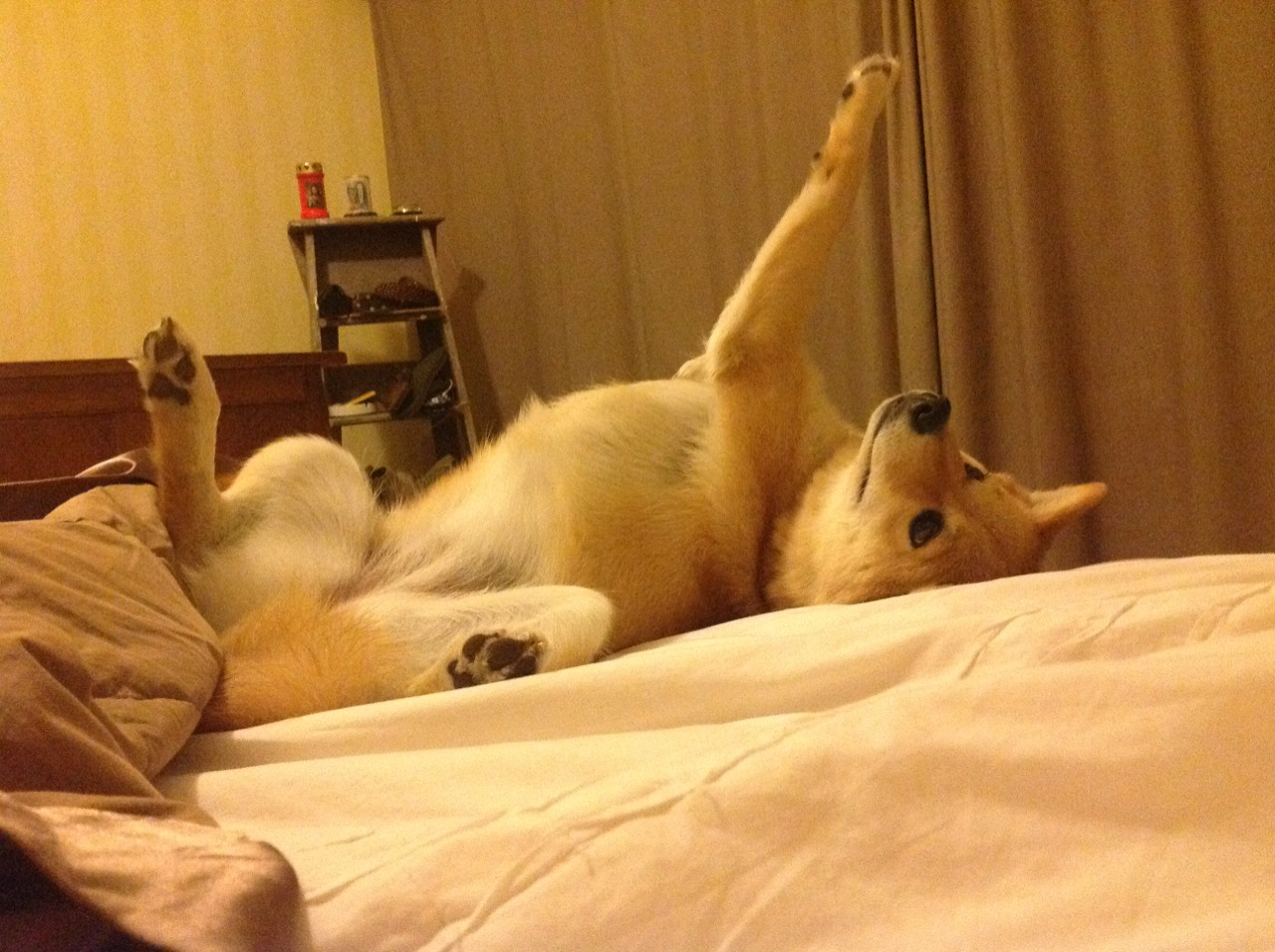 FB体育网站-意甲劲旅开启国家德比赛事,紧张氛围升温,意甲联赛中的国家德比指的是