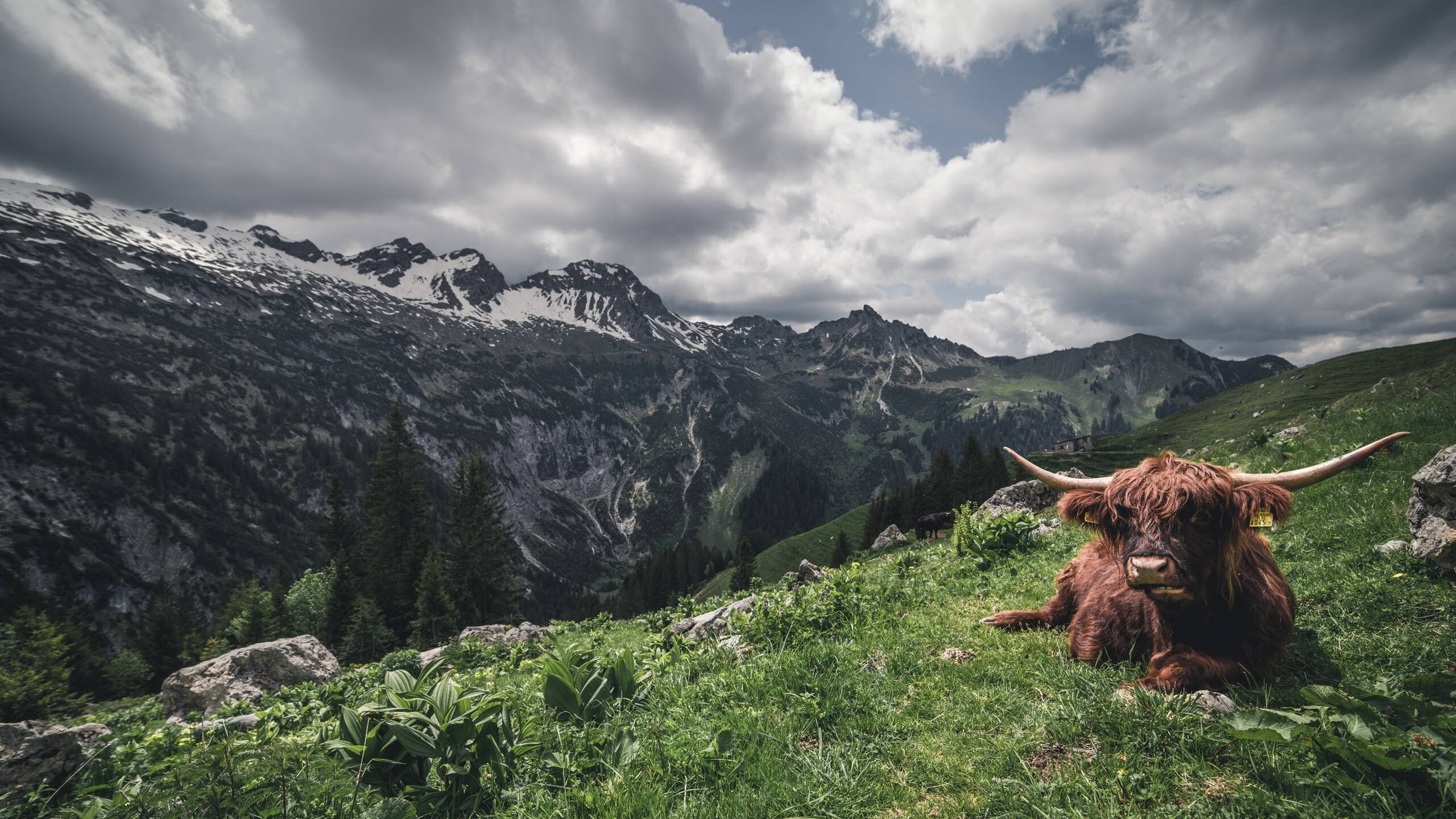 FB体育娱乐-曼城势不可挡,擒敌如拾芥轻松进军四强,曼城silva
