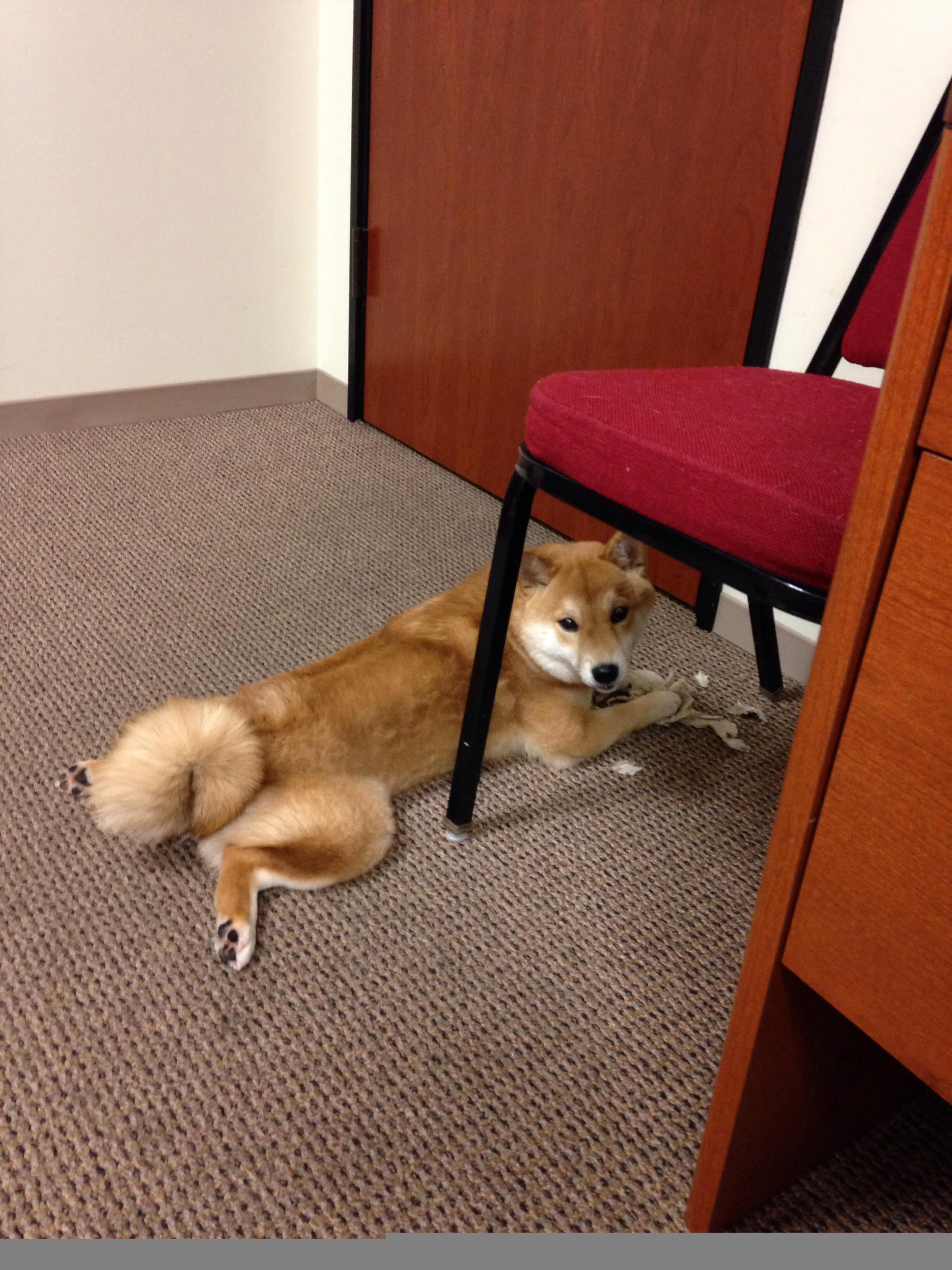 FB体育官方-柏林联队再次取得胜利,助力积分榜上升,柏林联合战绩