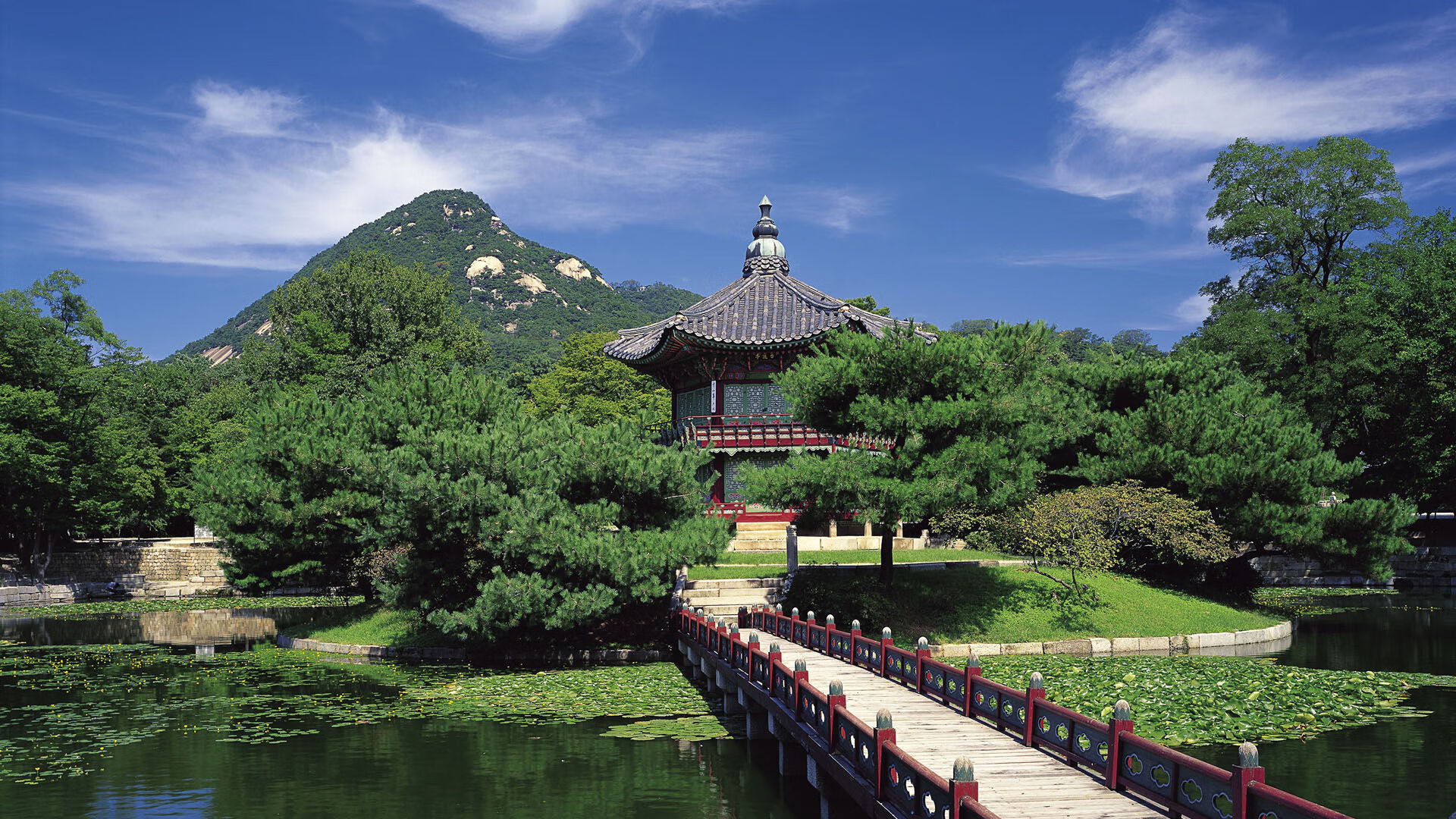 fb体育官网首页-世界青少年趣味跳弹跳比赛引爆现场,青春尽在掌握,弹跳小游戏