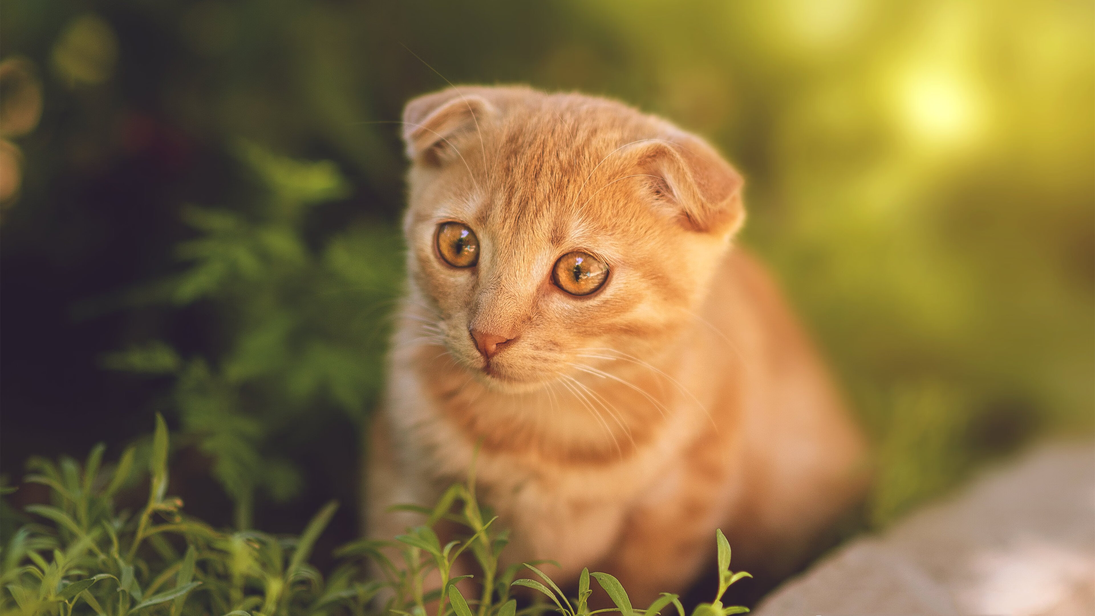 FB体育-中小学继续教育,中小学继续教育网