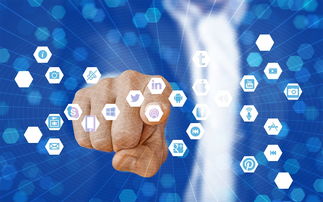 FB体育注册网址-体育赛事安全管理体系构建与优化路径研究,体育赛事安全方案