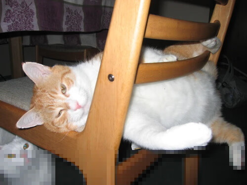 fb体育平台安全-德甲球队基于数据分析优化中场组织与防守协作,德甲著名中场