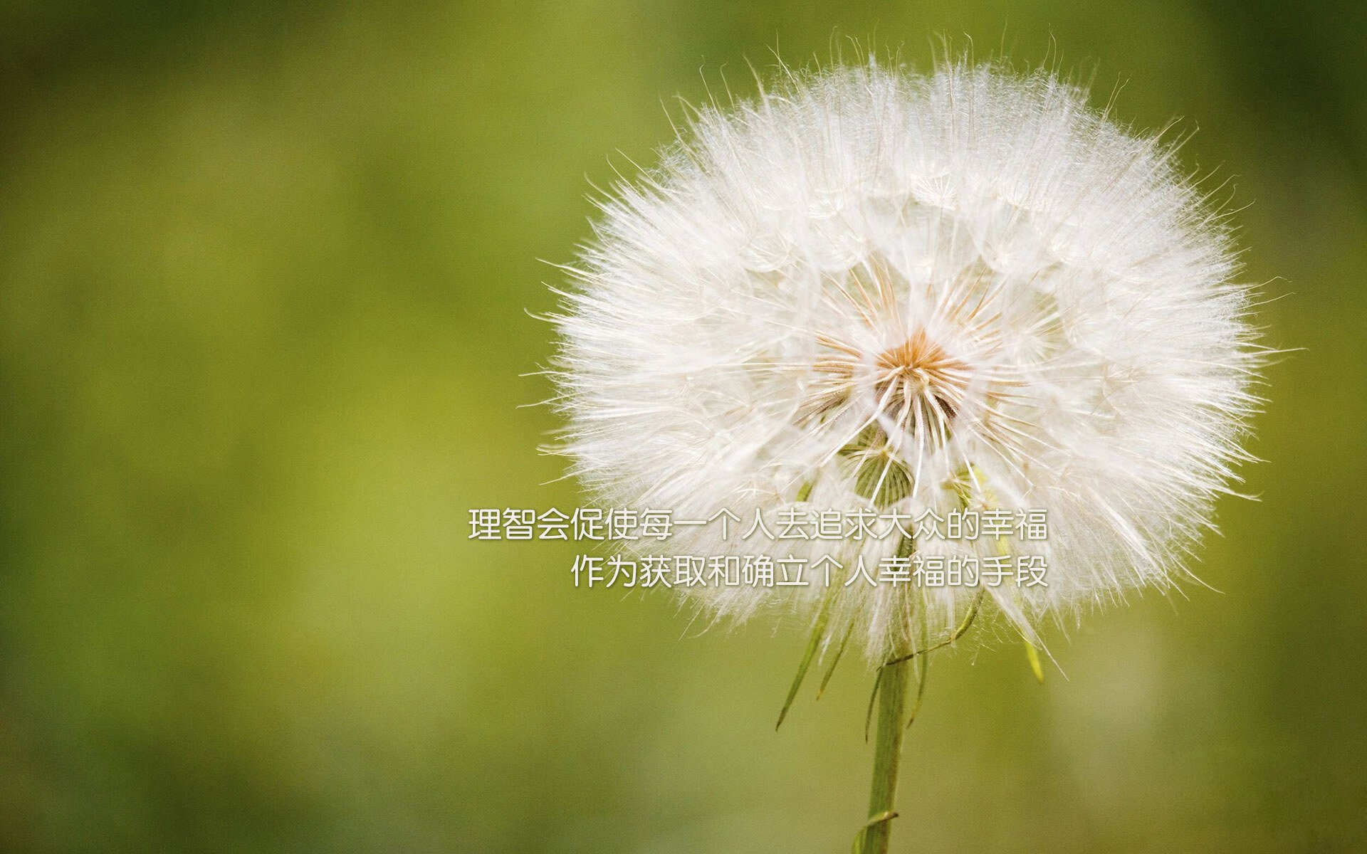 FB体育网站-智能穿戴设备数据在个性化训练中的应用研究,智能穿戴运用了哪些技术