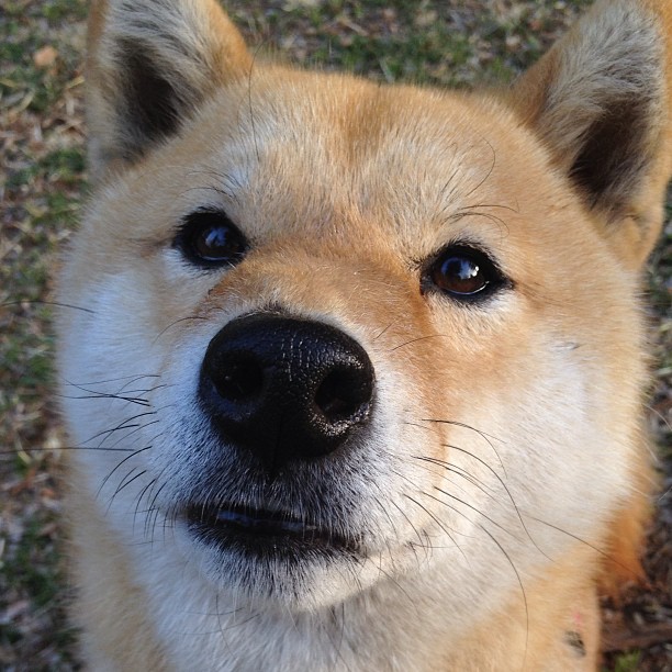 fb体育app官网-体育高校科研成果助力国家队备战,高校体育产业