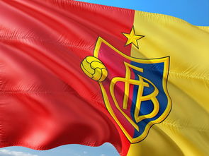 FB体育官方网站-国际乒联确认中国承办多项顶级赛事,中国国际乒乓球